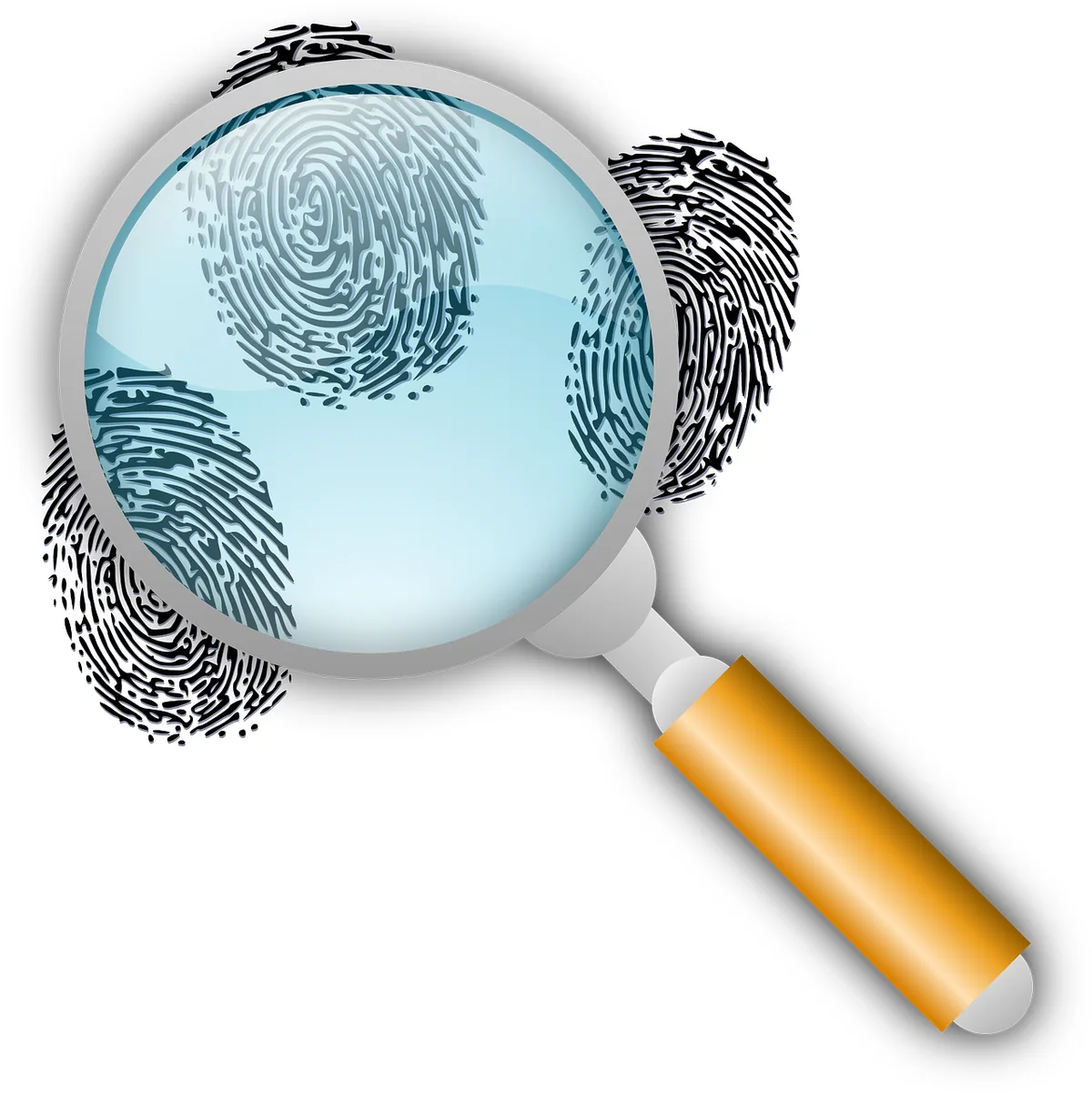 Criminal records, youth criminal justice, police record checks, criminal record check, absolute and conditional discharges, criminal convictions, vulnerable sector check